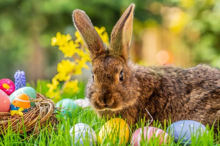 Pääsiäisen treenit